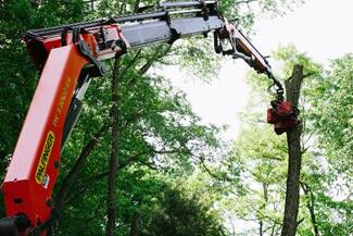 Tree crane